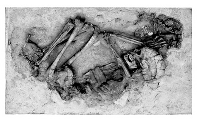 Image 1 on page 53 (no description)